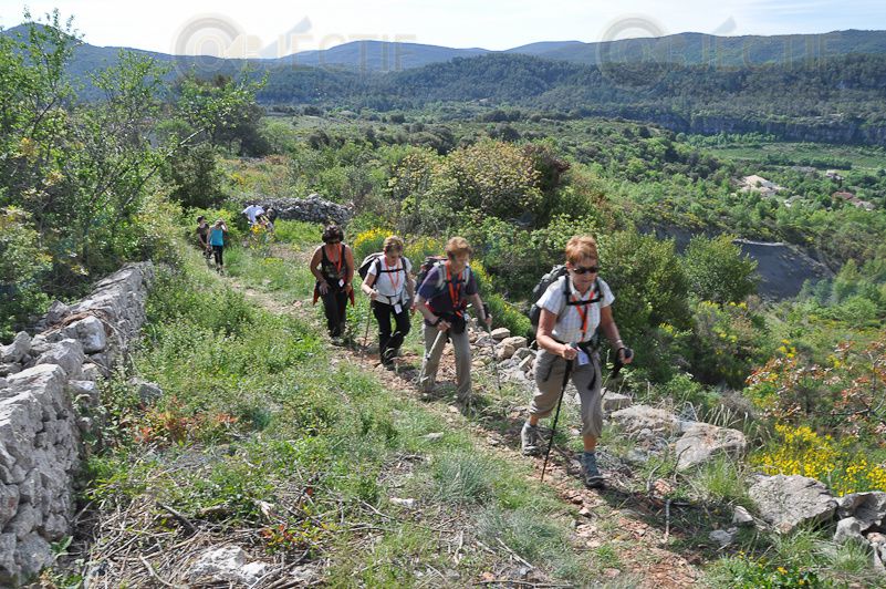 Ces photos ont été prises par le club photos de Bédarieux : Objectif Image
Elles sont disponibles en tirage papier 20X30 au prix de 3€ l'exemplaire (cf article sur le blog)