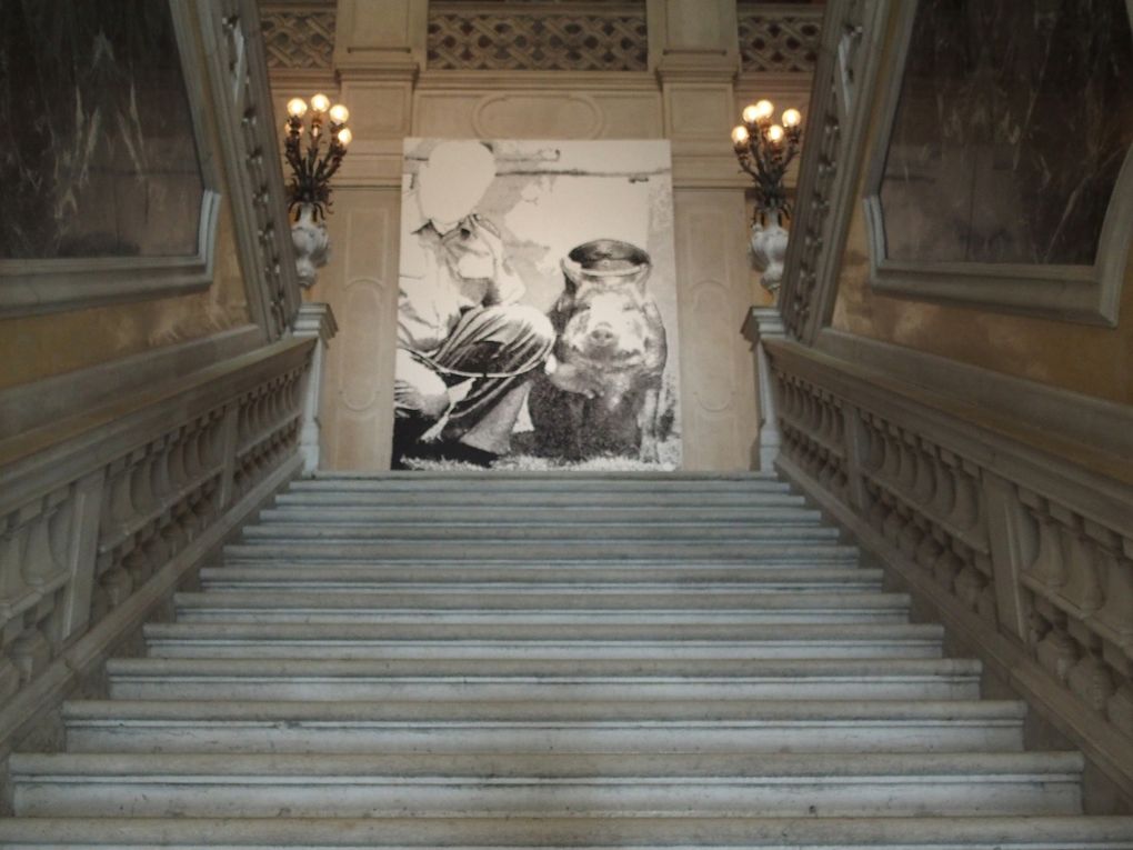 Vues de l'exposition Sigmar Polke., palazzo Grassi, Venise © photographies Le Curieux des arts Gilles Kraemer, juin 2016. Exposition Sigmar Polke, palazzo Grassi, Venezia