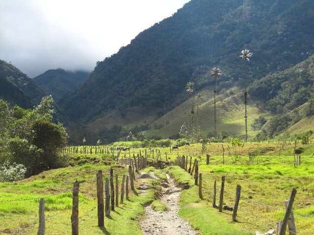 Album - COLOMBIA-1