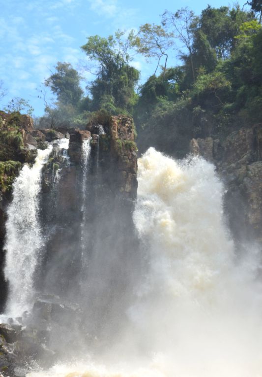 Album - Iguazu-y-Posada