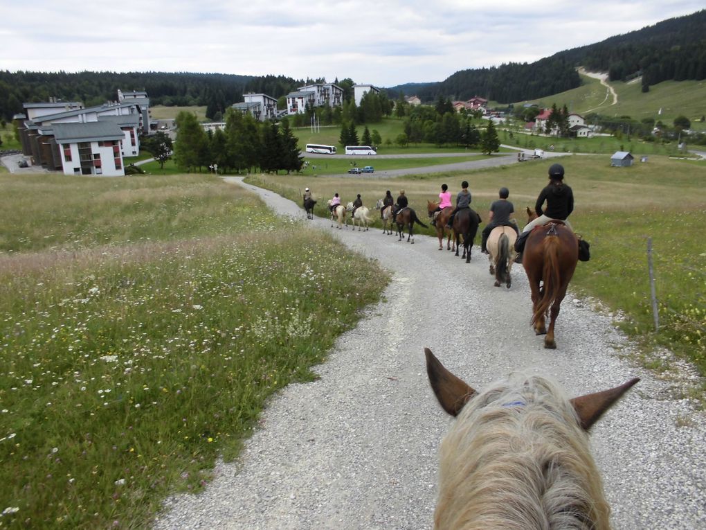 3 jours de randonnée à cheval dans le Jura...