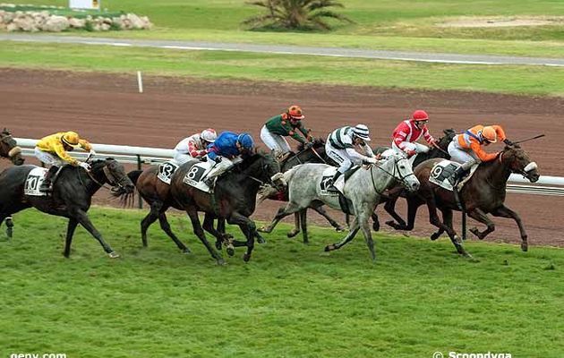 résultats-pronostics gratuits à Marseille Borely du lundi 27 février-plat