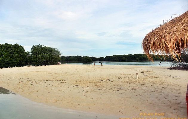 Pulau Pari Destinasi Liburan Yang Memiliki Pantai Pasir Perawan 