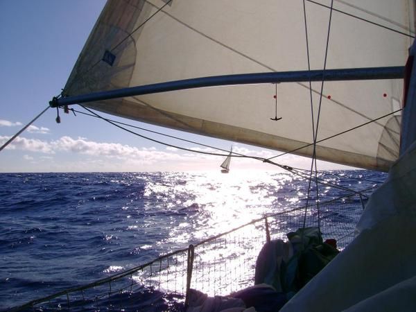 Les photos de la Traversée, certaines sont prises du Millepertuis, d'autres du Seizh Avel.
Millepertuis a un spi bleu et blanc et Seizh Avel a un spi rouge et blanc.
Que de bons moments.