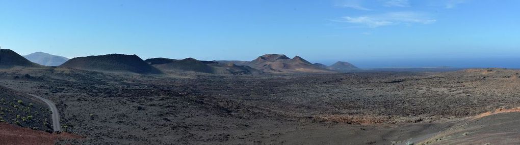 Canaries février 2016