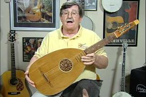 A German lute guitar