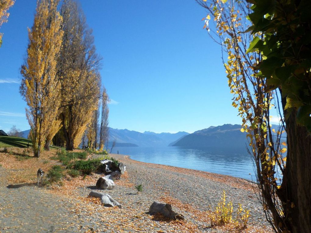 Wanaka, Queenstown : les couleurs de l'automne