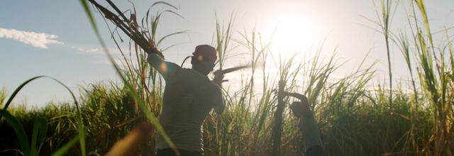 Inédit, Trop chaud pour travailler, ce soir à 20h55 sur Arte