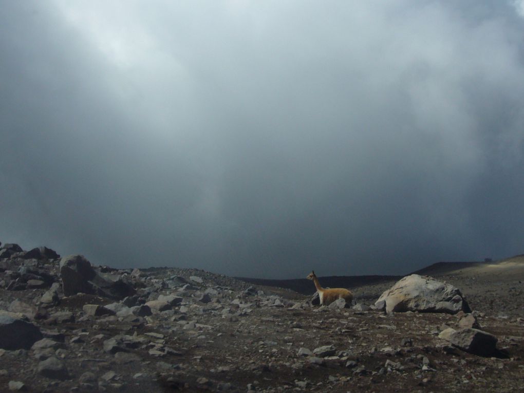 Voila quelques photos de notre sejour au pied du Chimborazo!!
MERCI a Lise et Jerome pour ces supers souvenirs....