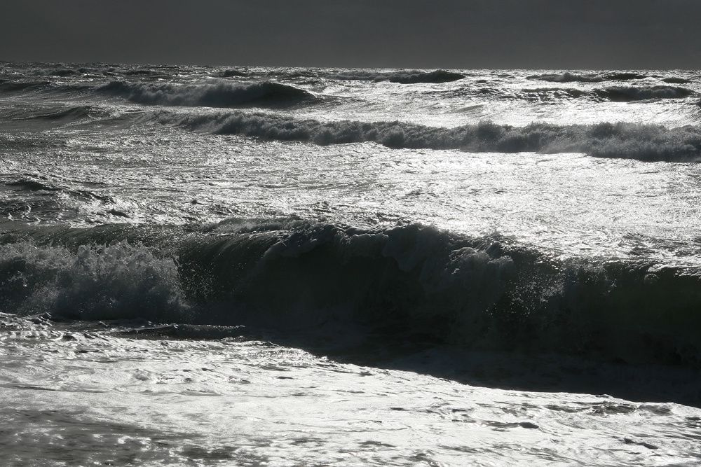 Hiver en Loire-Atlantique - Photos Thierry Weber Photographe La Baule Guérande