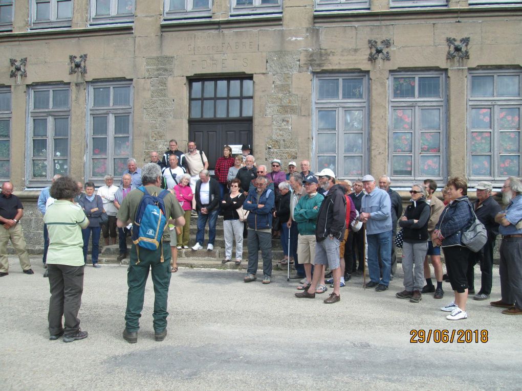 29 juin 2018 visite au Mt Aigoual et bambouseraie d'Anduze.