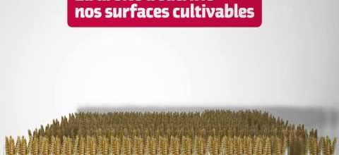 Le bilan de Sarkozy, 5 ans pour affaiblir notre agriculture