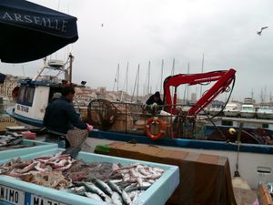 Le poisson frais de retour sur le Vieux Port