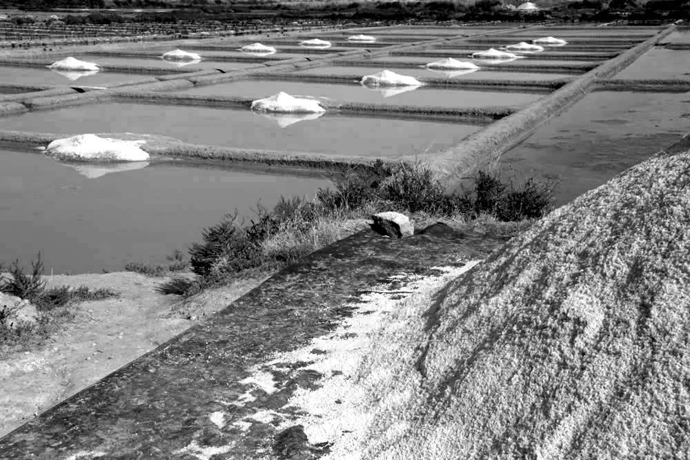 Album - Les Marais-salants de Guerande en noir et blanc