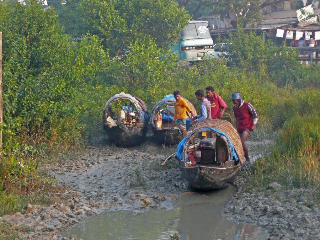 Voyage au Bangladesh (Dhaka et les Sunderbans) décembre 2010-Janvier 2011