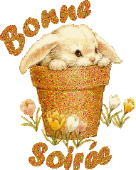 Bonne soirée - Lapin - Pot - Fleur - Gifs scintillants - Gratuit
