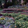 un beau parterre fleuri