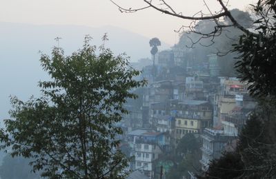 J 22 & 23:Darjeeling sous la brume...