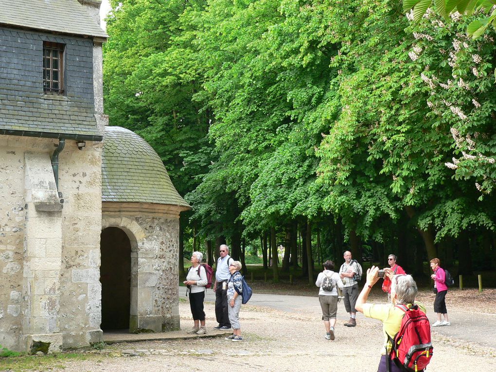 Séjour des Vadrouilleux ed' Feutchères dans le marais Vernier.