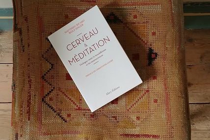 Cerveau & méditation, dialogue entre le bouddhisme et les neurosciences 