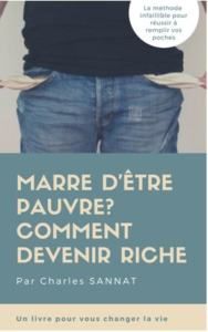 FRANCE : 11.3 millions de chômeurs partiels et baisse des indeminités qui ne seront plus de 84 % mais de peau de chagrin…