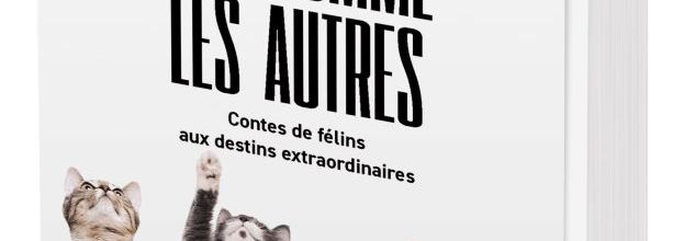 "DES CHATS PAS COMME LES AUTRES" PASSENT À LA MOULINETTE DE LA CRITIQUE !
