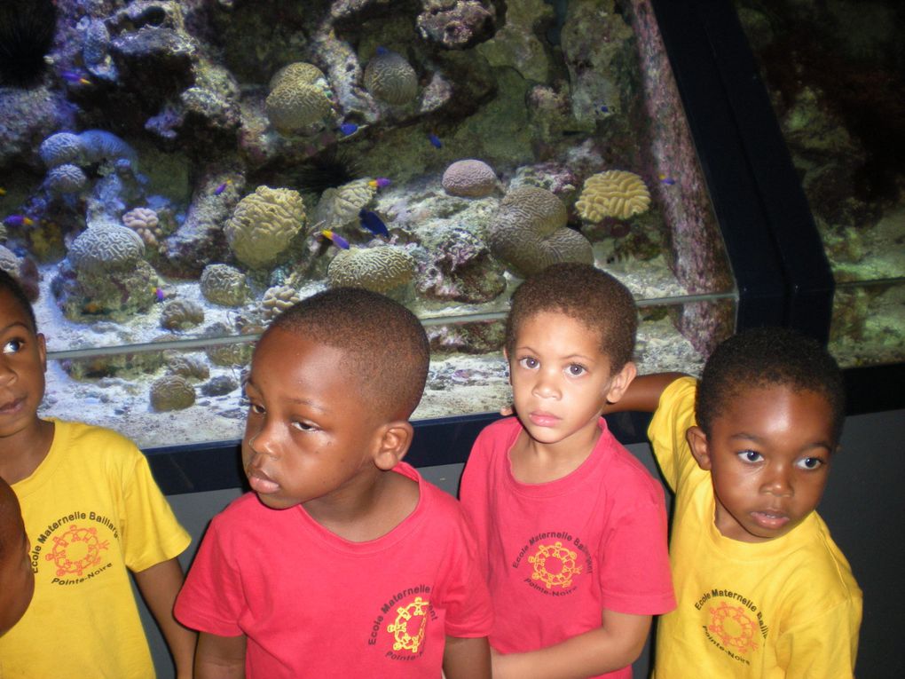 jeudi 22 avril,les tout-petits/petits de Véronique et les petits/moyens de Catrina sont allés à l'aquarium du Gosier .Ce fut une belle journée de découvertes.