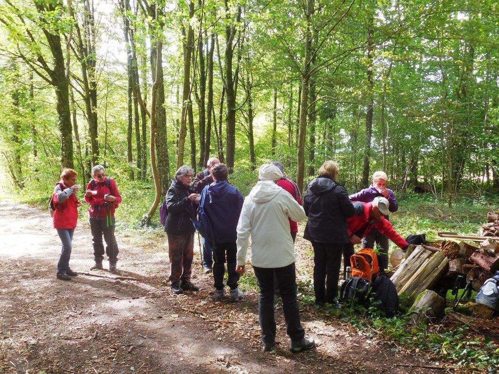 Au long du chemin,... des champs moissonnés ou du maïs