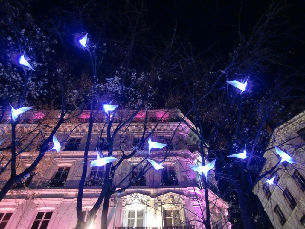 Album - Fete-des-lumieres---Lyon-2010