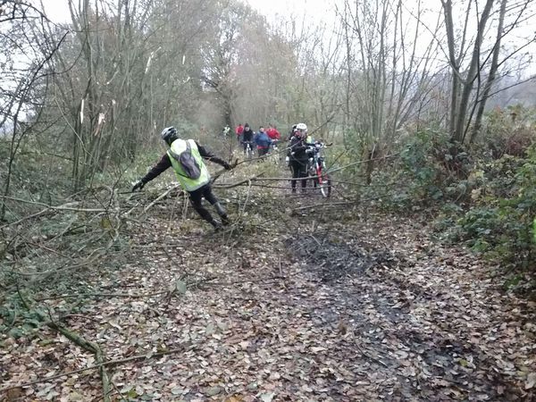 Sur la Voie Verte de l'Avesnois, entre Ferrière-la-Petite et Obrechies…