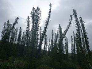 le site de la roche percée, au sud-ouest de Bourail