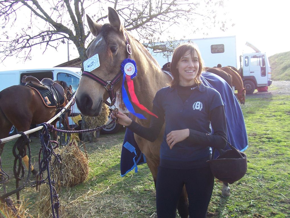 Divers concours fais par nos cavaliers.