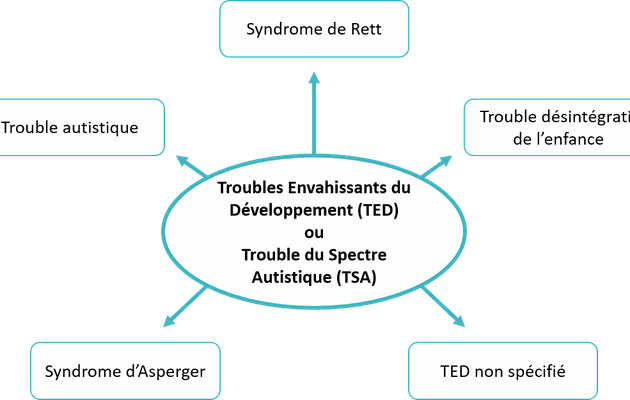 TED : définition