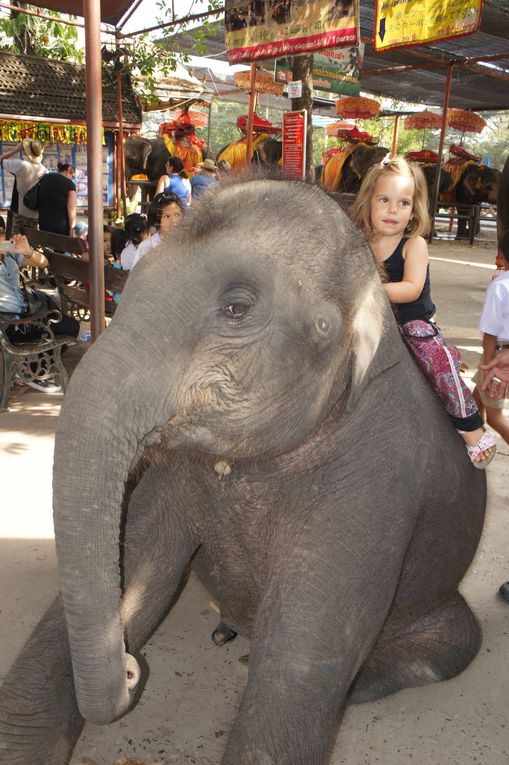 Album - Thaïlande-dec-2010