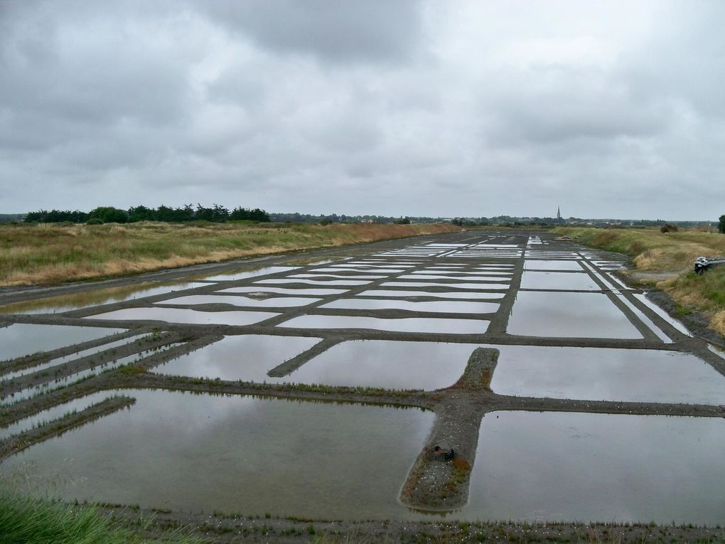 Album - Sortie aux salines de Millac CE1-CE2