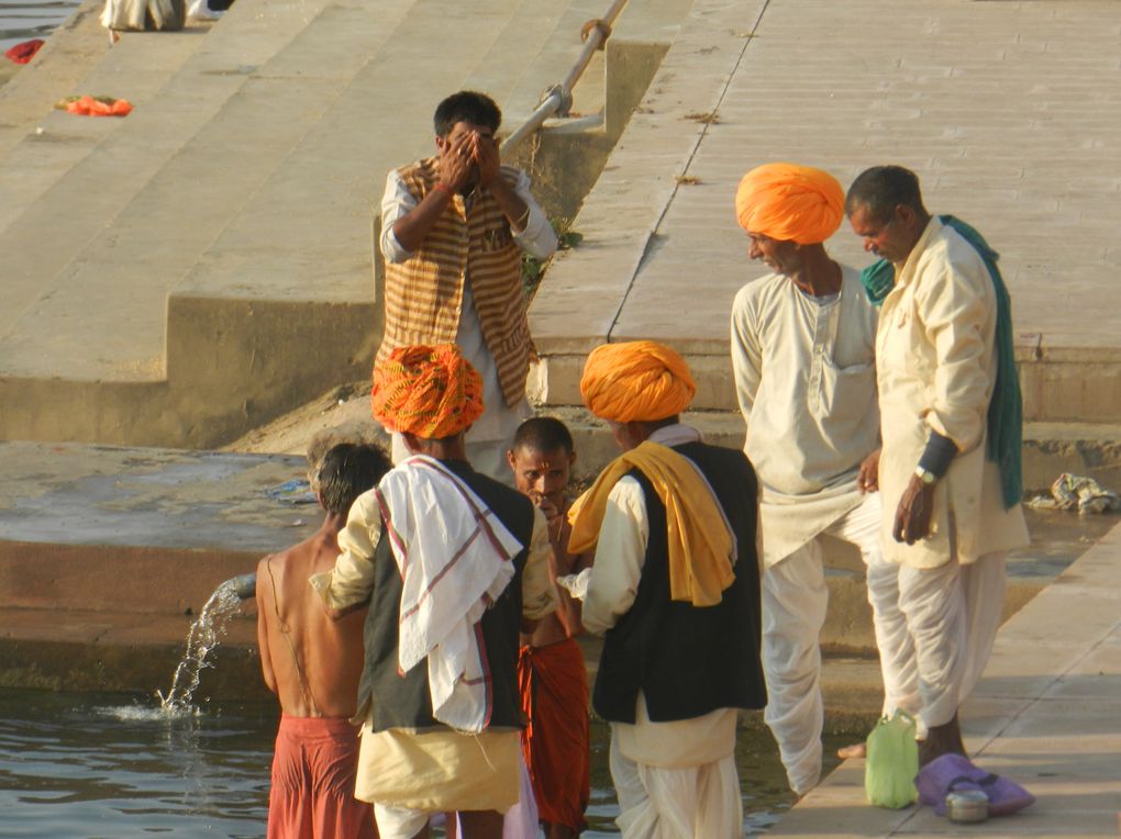 Album - INDE-Pushkar