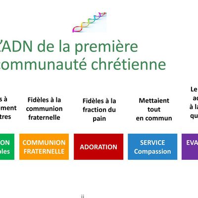 2° dimanche de Pâques A (Actes des apôtres 2, 42-47) (DiMail 161)