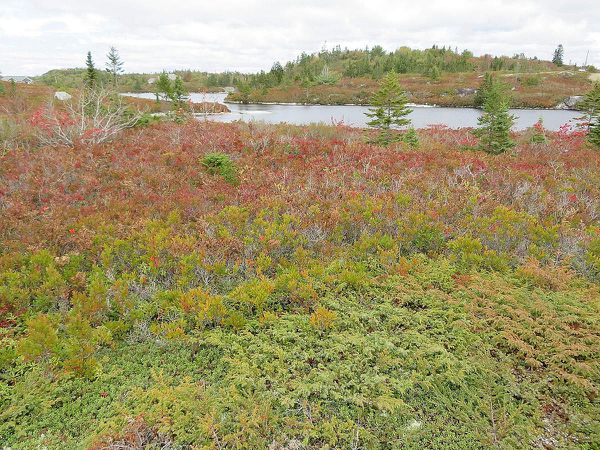 &quot;Les Maritimes&quot;: Iles du Prince Edouard, du Cap Breton et Nouvelle Ecosse