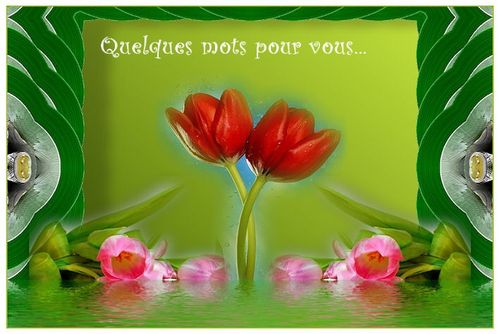 Amitie Sentiments