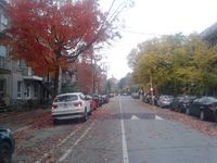 une rue parallele a la mienne 