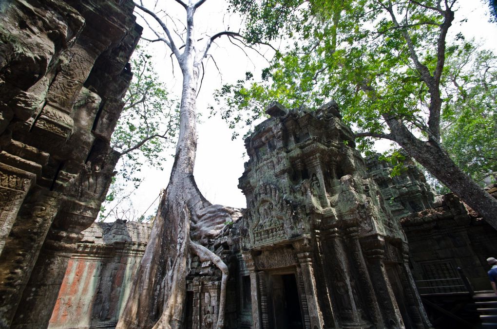 1 jour de visite du site des temples d'Angkor a Siem Reap au Cambodge