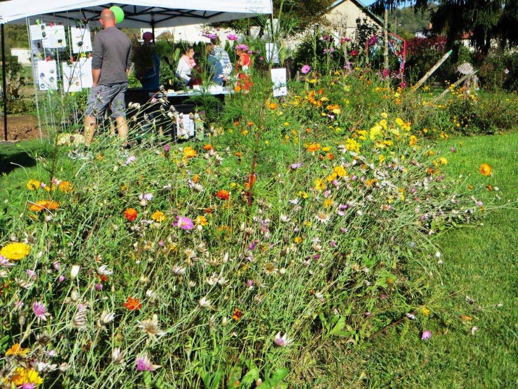 Troc aux plantes à Ligny (avec photos)