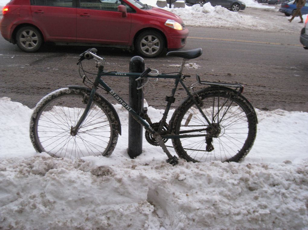 suite et fin de notre séjour hivernal à Montréal (dans l'ordre alphabétique toujours)