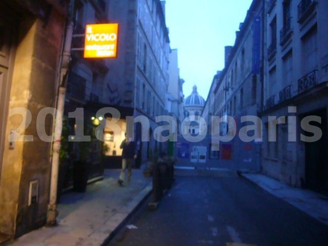  【PARIS】【サンジェルマン、芸術橋界隈Pont des Arts,Pont neuf】2018年3月9日09/03/2018