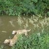 elle et lui à poils dans leur bain !