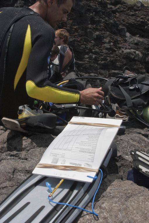 Méthode de suivi environnemental au Cap la Houssaye (Réunion) permettant d’évaluer l’état de santé d’un récif et de détecter des changements
écologiques liés à des perturbations naturelles ou humaines.