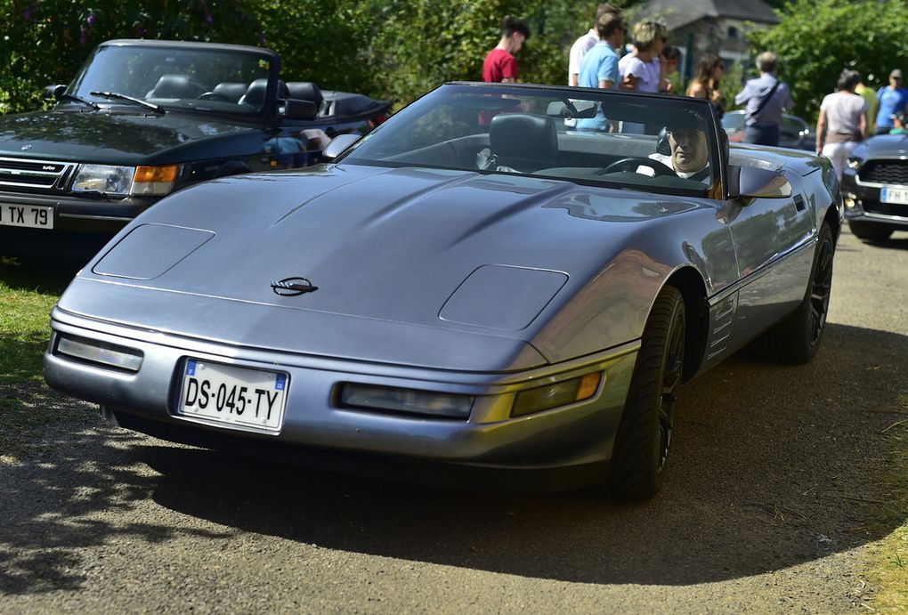 Rassemblement (PAPA35) , club Passion Auto Prestige et Ancienne d'ille et Vilaine de juillet 2019