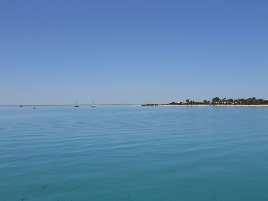 Un aperçu du WA en plein été, sous une moyenne de 42°C.