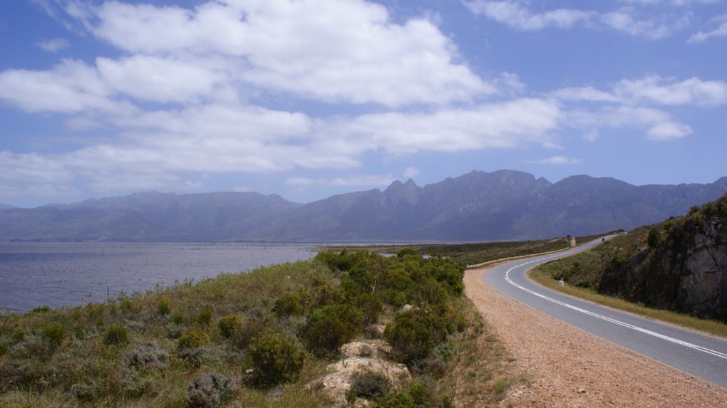 Album - La région de Cape Town