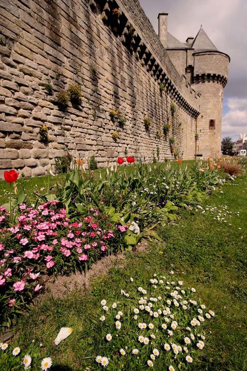 Les remparts de la ville de Guérande au printemps